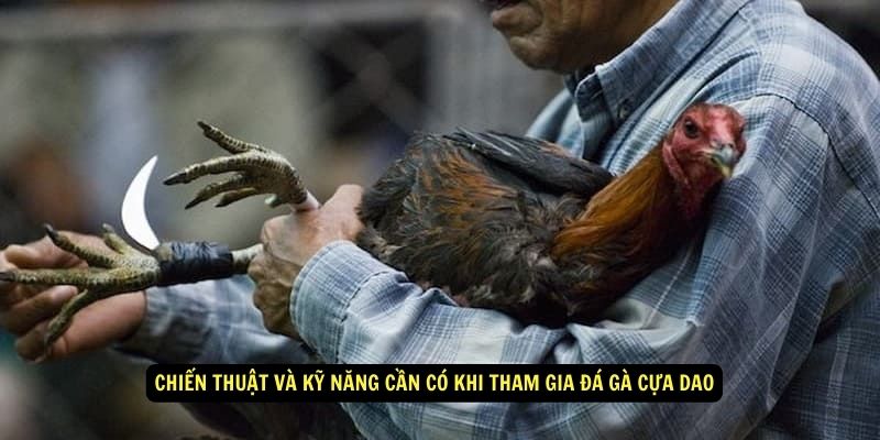 Đá Gà Cựa Dao - Cách Tham Gia, Chiến Thuật Và Luật Chơi 6 Chiến thuật và kỹ năng cần có khi tham gia Đá gà cựa dao
