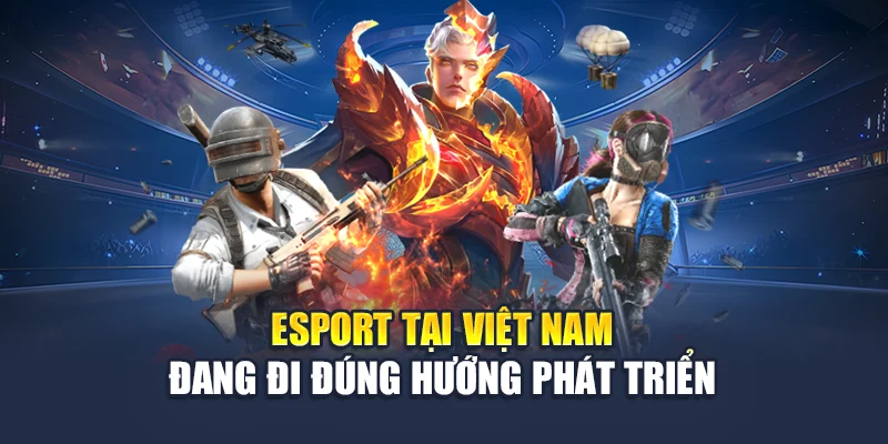 Game Esport 78WIN Bùng Nổ Cùng Xu Hướng Giải Trí Hiện Đại 7 Esport tại Việt Nam đang đi đúng hướng phát triển