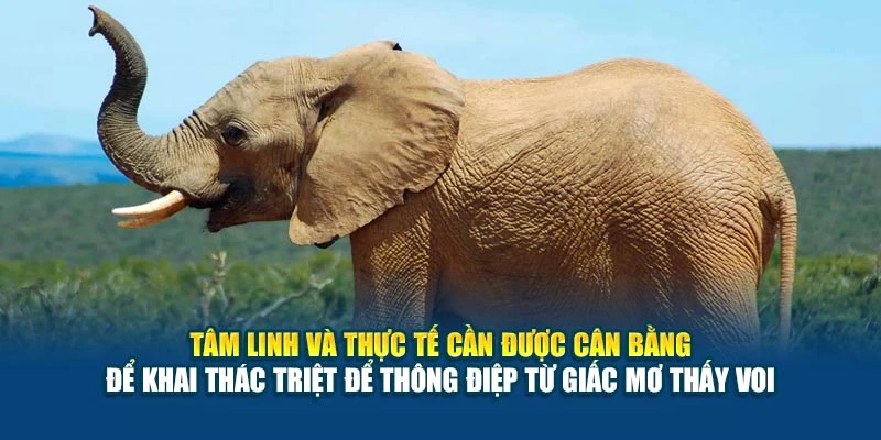Mơ Thấy Voi Có Ý Nghĩa Gì? - Giấc Mộng Của Sức Mạnh 7 Tâm linh và thực tế cần được cân bằng để khai thác triệt để thông điệp từ giấc mơ thấy voi